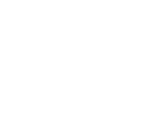 Checklist icon with checkmarks and circle.
