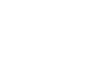 Document with checklist and checkmark icon.
