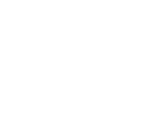 Document and magnifying glass icon.
