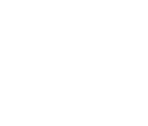 Money bag, shield, and document icon.