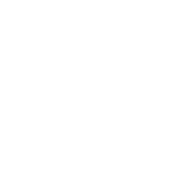 Star badge with ribbons and sparkles.